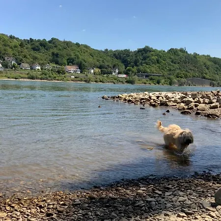 Rheinvilla Arte Szálloda 3*