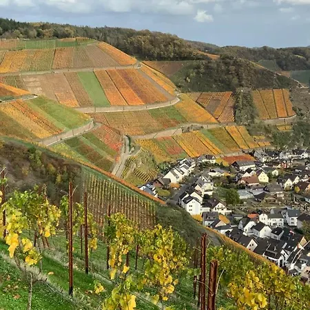 Szálloda Rheinvilla Arte