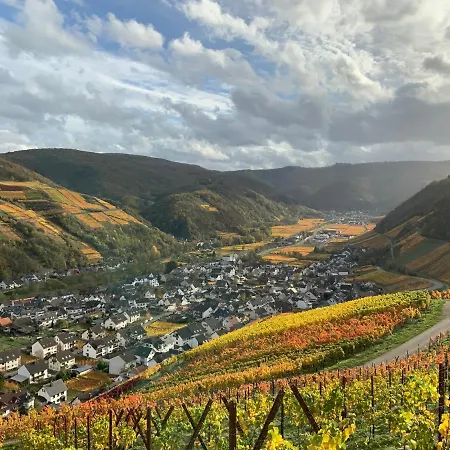 Rheinvilla Arte Szálloda