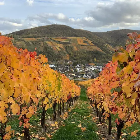 Rheinvilla Arte Szálloda 3*