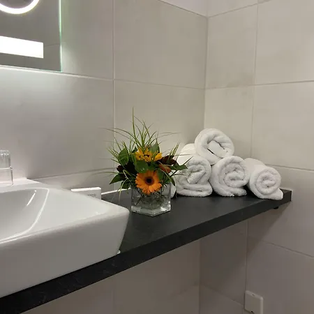 Szálloda Rheinvilla Arte 3*