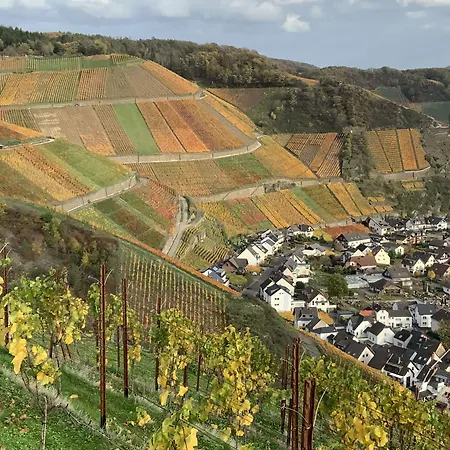 Rheinvilla Arte Hotel Remagen