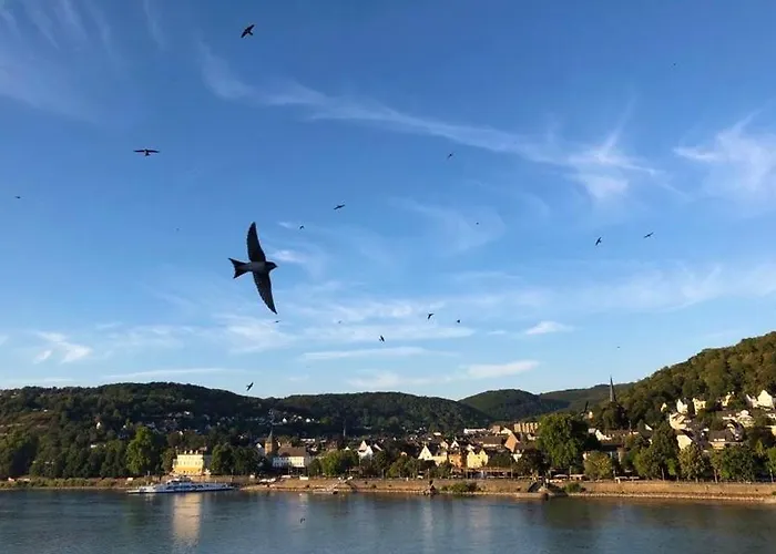 Rheinvilla Arte מלון