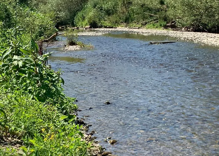 מלון Rheinvilla Arte