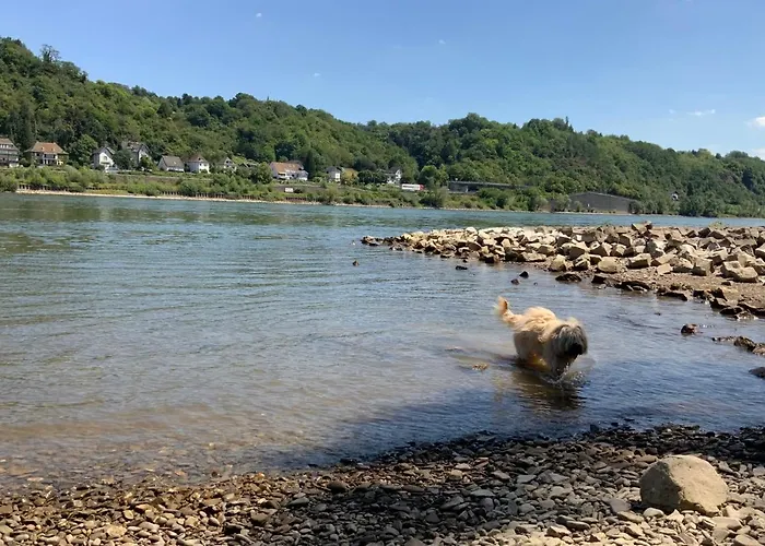 Rheinvilla Arte מלון 3*