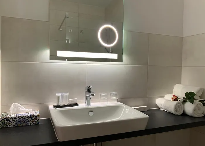 Rheinvilla Arte מלון