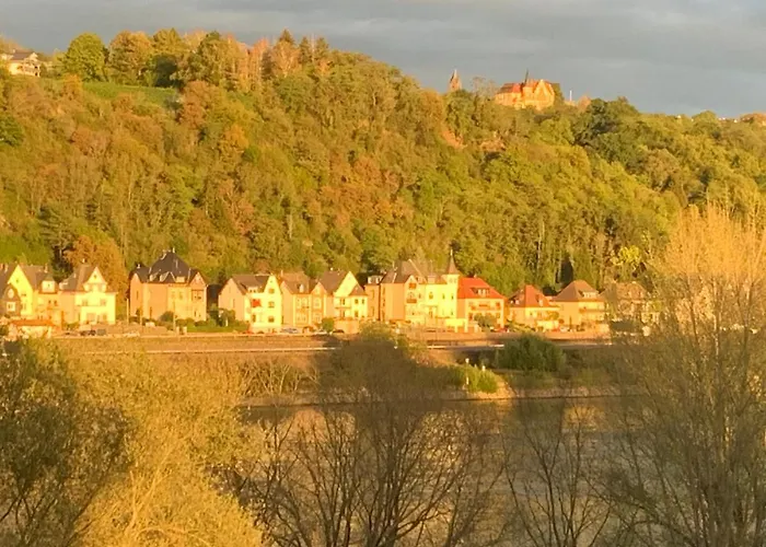 Rheinvilla Arte 3* רמאגן