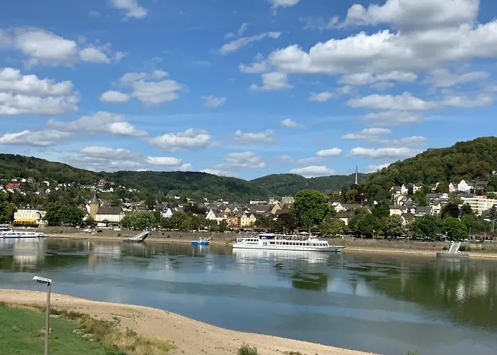 Rheinvilla Arte מלון