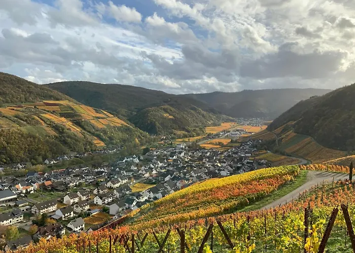 Rheinvilla Arte מלון