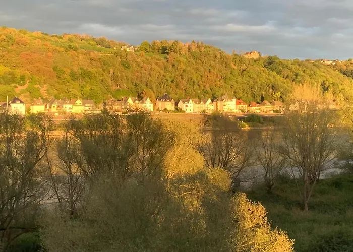 מלון Rheinvilla Arte 3*