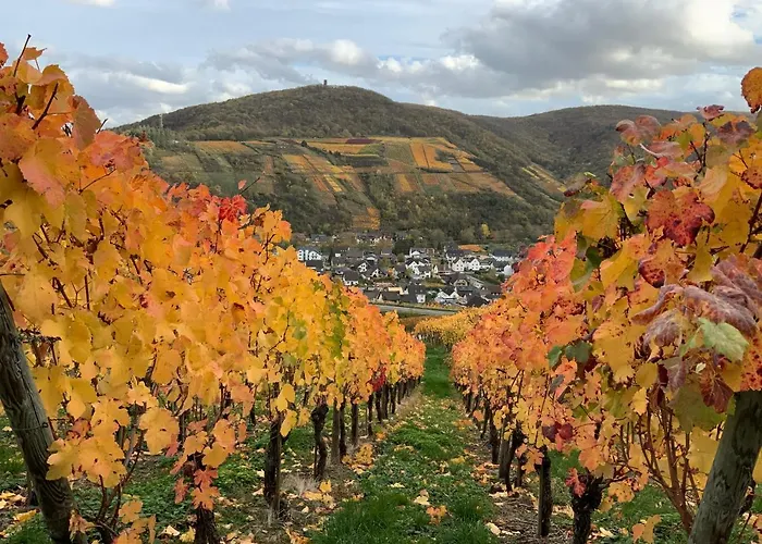 Rheinvilla Arte מלון 3*