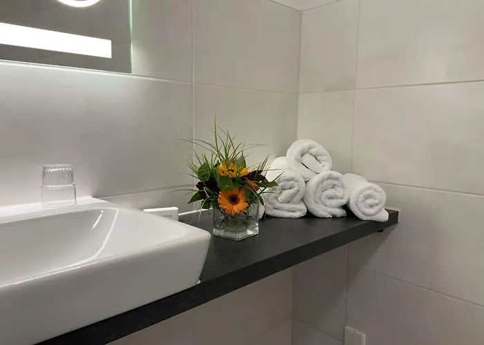 מלון Rheinvilla Arte 3*